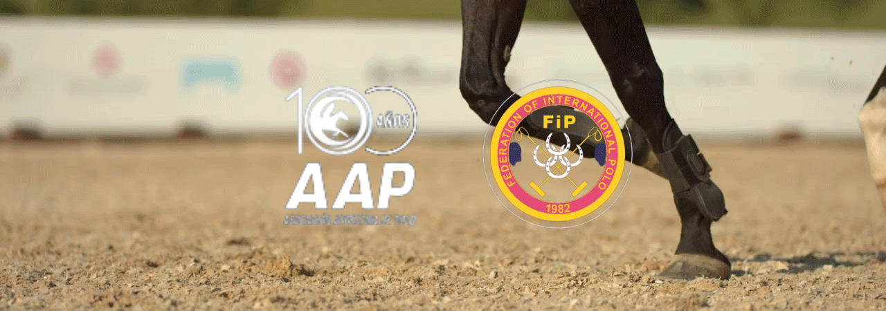 I Copa del Mundo de Arena Polo